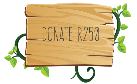 Donate R250 button